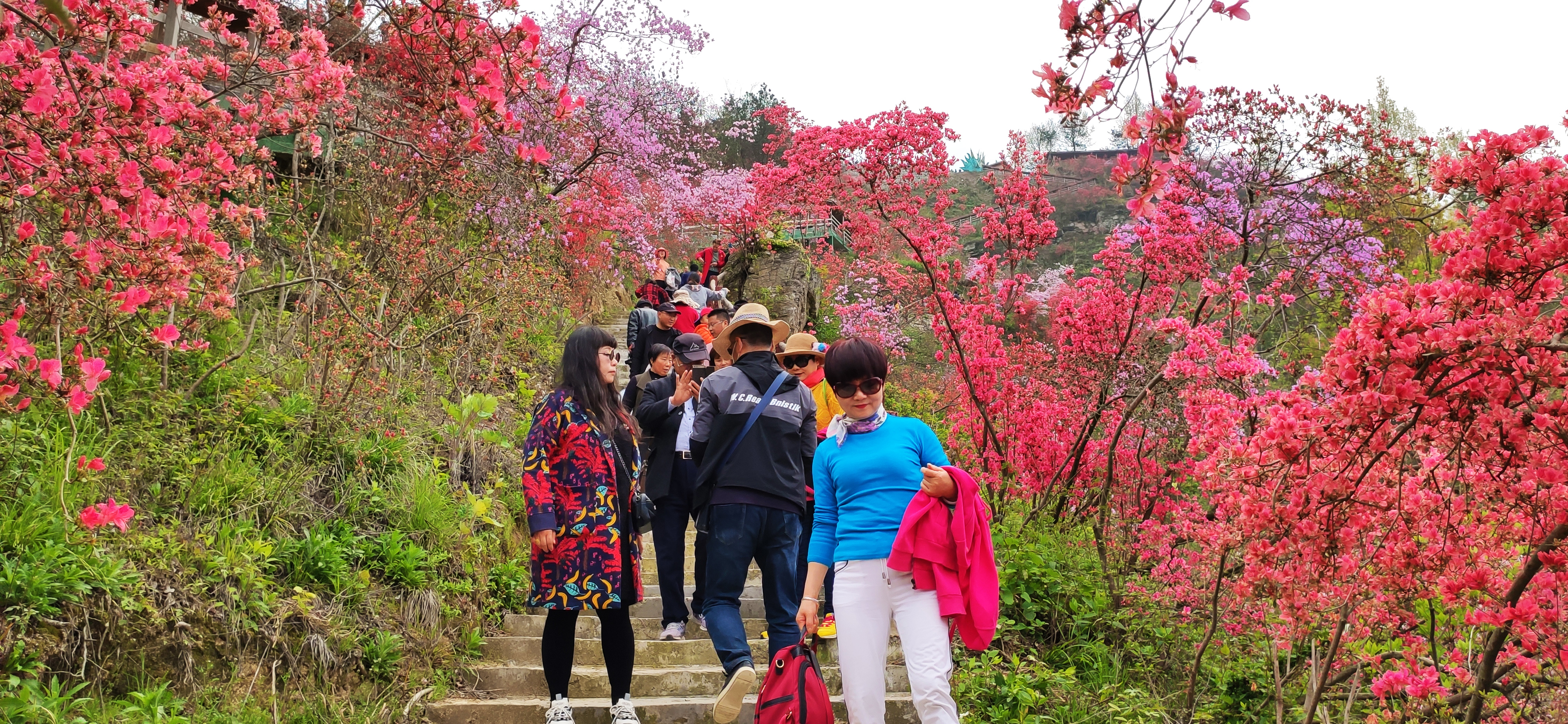 火爆！清明节出游，很多人选择这里，原因竟是……
