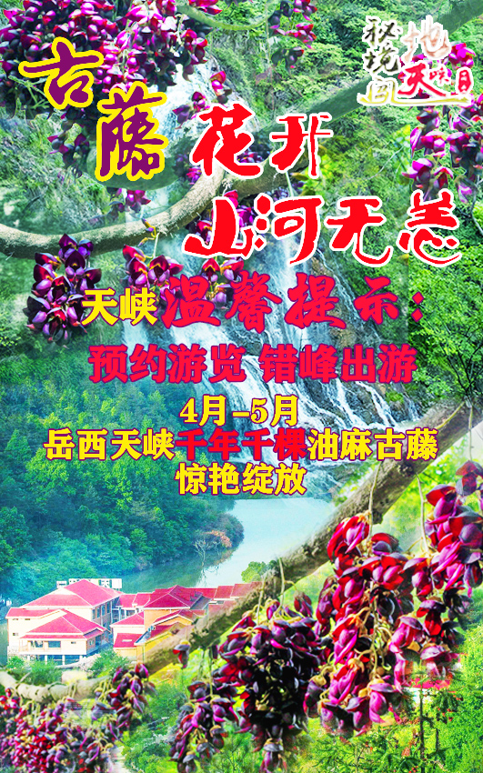 春游江淮请您来 |关于天峡风景区预约入园的公告