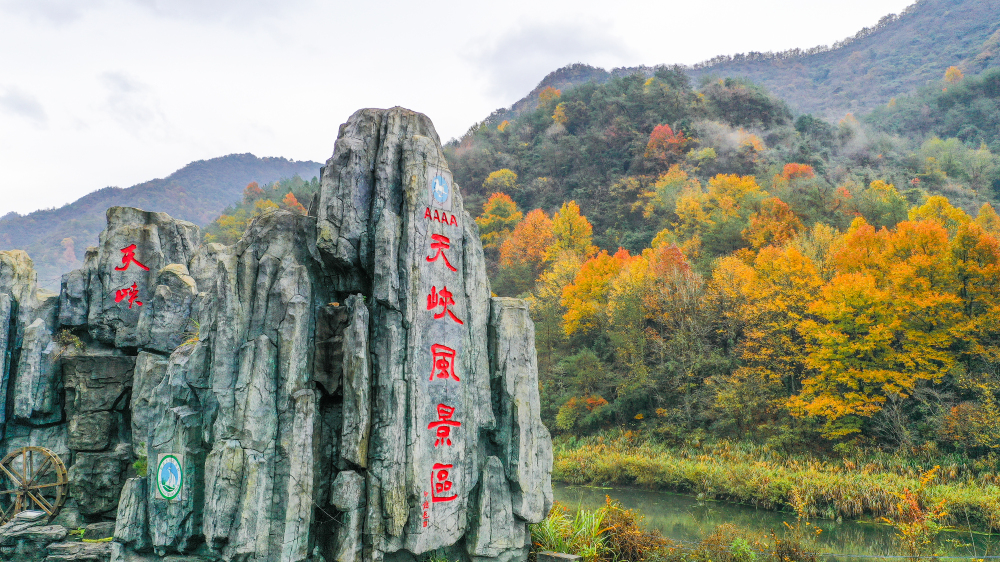 2020-2021年度天峡风景区招聘计划