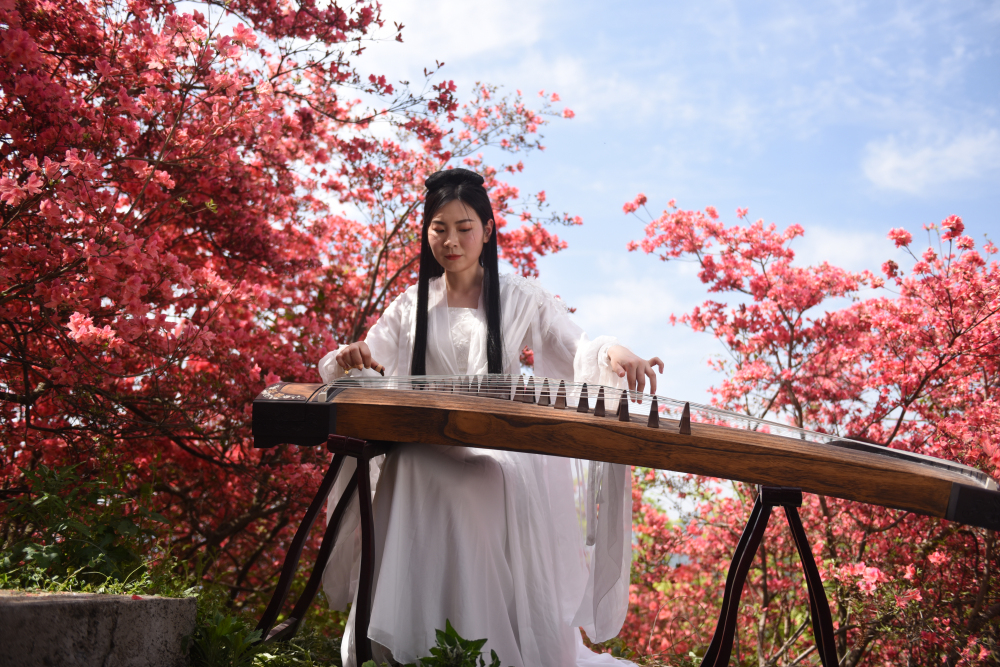 4月9日  实拍天峡杜鹃花海！